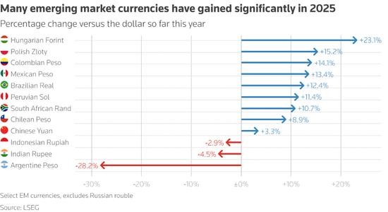 特朗普2.0时代的又一赢家:新兴市场货币!