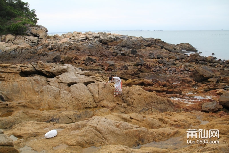 爱情岛论坛怎么玩最划算的游戏(爱情岛论坛怎么玩最划算的游戏啊) 爱情岛论坛怎么玩最划算的游戏(爱情岛论坛怎么玩最划算的游戏啊)