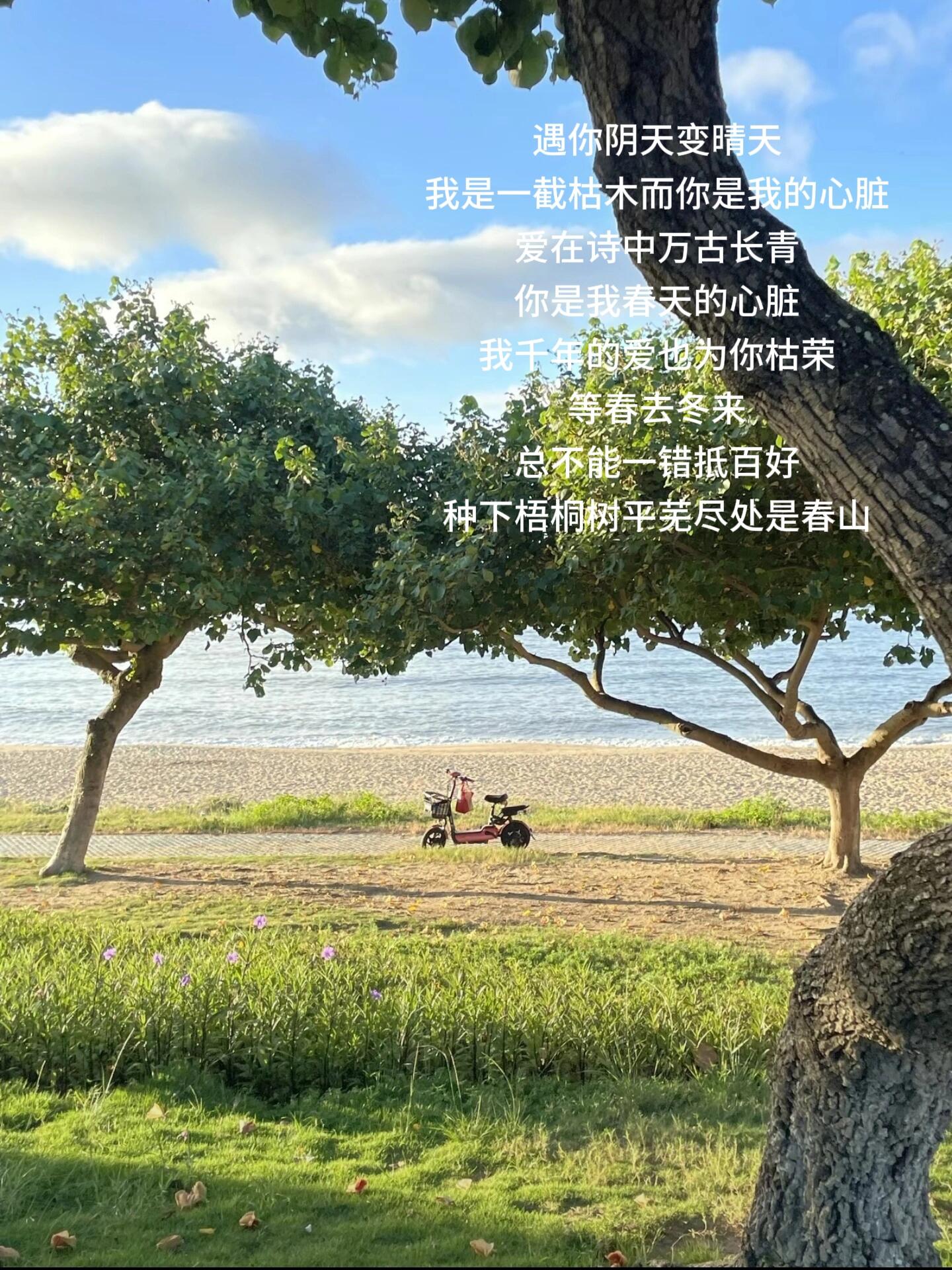 爱情岛留言(爱情测试免费路线3) 爱情岛留言(爱情测试免费路线3)